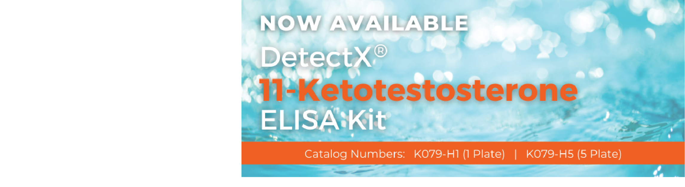 detectx cortisol detectx cortisol