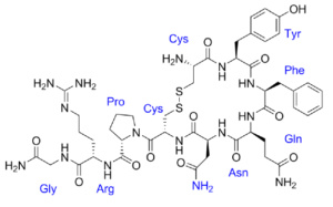 Structure of Arg-Vasopressin (AVP)