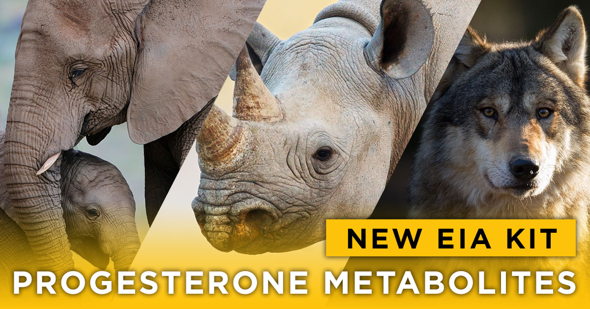Progesterone Metabolites Kit