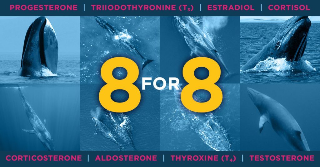 Progesterone, Triiodthyronine, Estradiol, Cortisol, Corticosterone, Aldosterone, Thyroxine, Testosterone