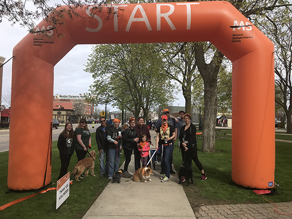 Walk MS 2019
