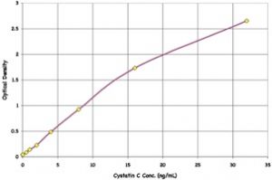Cystatin C Standard Curve