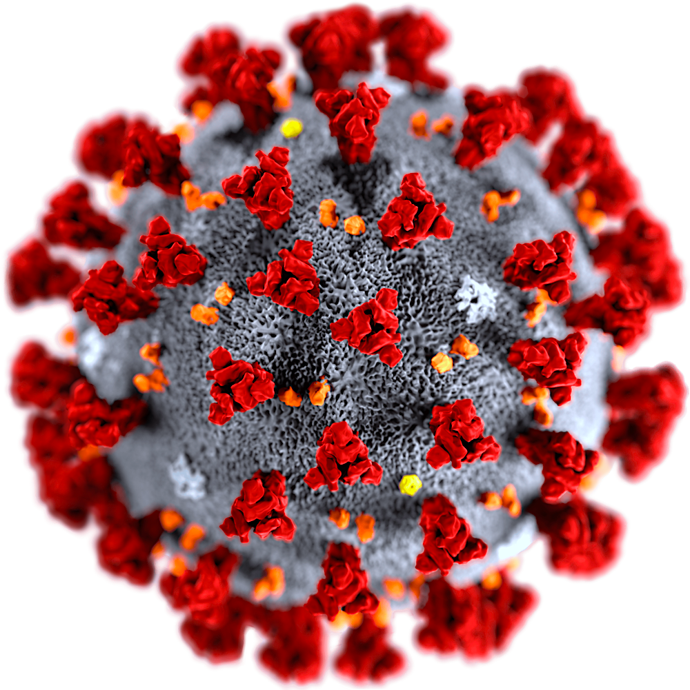 Image of the SARS-CoV-2 Virus on page describing SARS-CoV-2 IgG Antibody ELISA Kit