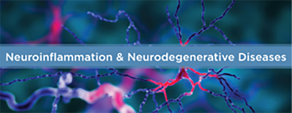 Neuroinflammation image