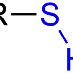 Thiol Chemical Structure
