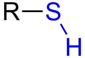 Thiol Chemical Structure