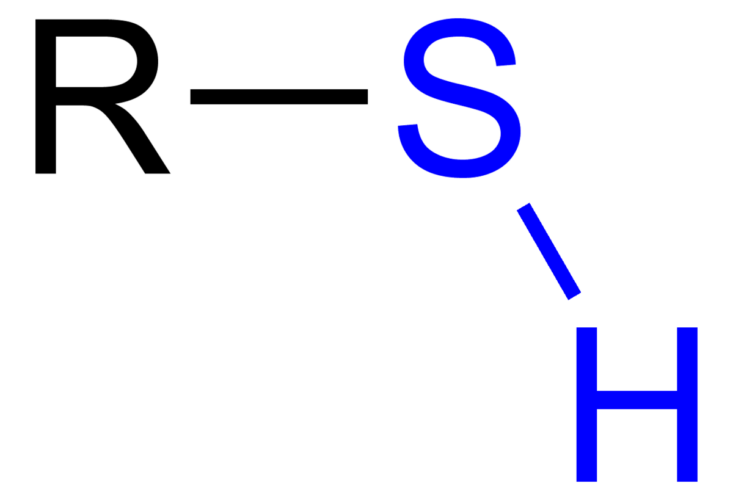 Thiol Chemical Structure