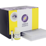 K002-H1 Kit Urinary Creatinine Detection Kits