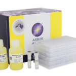 K002-H5 kit Urinary Creatinine Detection Kits