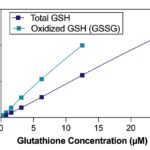 K006-H_Standard Curve