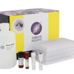 K006-H1 - Glutathione (GSH) Colorimetric Detection Kit