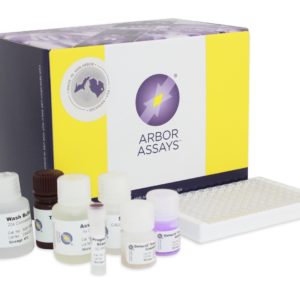 K025-H1 - Progesterone ELISA Kit
