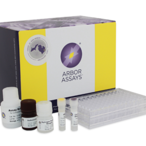 K033-H1 - 2 Plates Catalase Colorimetric Activity Kit