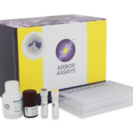 K034-H1 - 2 Plates Hydrogen Peroxide (H2O2) Colorimetric Detection Kit