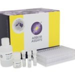 K039-H1 - 2 Plates Glucose Colorimetric Detection Kit
