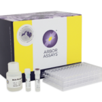 K041-H1 - 2 Plates BCA Protein Dual Range Colorimetric Detection Kit