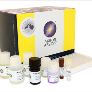 T4 - Thyroxine