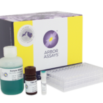 K077-H1 - TBARS/MDA Universal Colorimetric Detection Kit