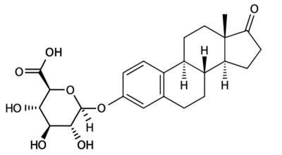 Estrone-3-Glucuronide Structure