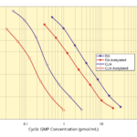 Cyclic GMP Direct ELISA Kit