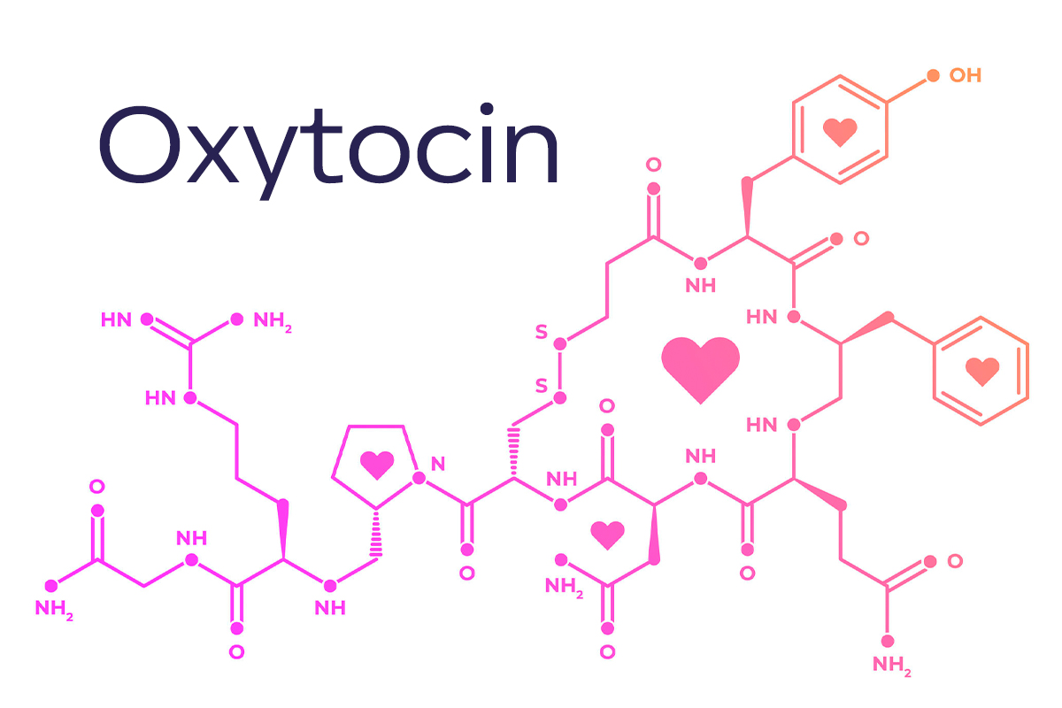 What are oxytocin assays measuring? – Arbor Assays