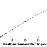Urinary Creatinine Detection Kit