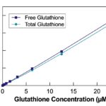 Glutathione (GSH) Fluorescent Detection Kit, Standard Curve