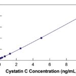 Cystatin C Human ELISA Kit Standard Curve