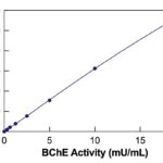 Butyrylcholinesterase (BChE) Fluorescent Activity Kit