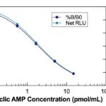 Cyclic AMP Direct Chemiluminescent ELISA Kit