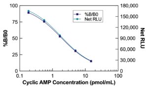 Cyclic AMP Direct Chemiluminescent ELISA Kit