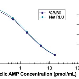 Cyclic AMP Direct Chemiluminescent ELISA Kit