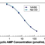 Cyclic AMP Direct ELISA Kit
