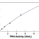 Protein Kinase A (PKA) Colorimetric Activity Kit