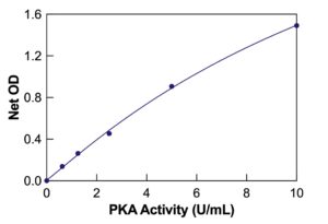 Protein Kinase A (PKA) Colorimetric Activity Kit