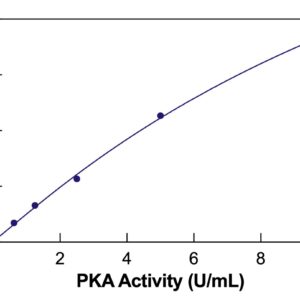 Protein Kinase A (PKA) Colorimetric Activity Kit