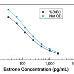 Estrone ELISA Kit