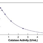 Catalase Colorimetric Activity Kit