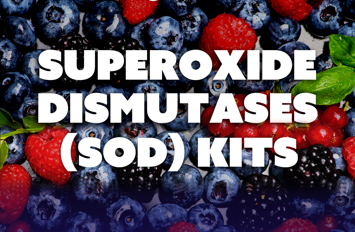 Superoxide dismutases (SOD) Kits written over a photo of berries filled with antioxidents