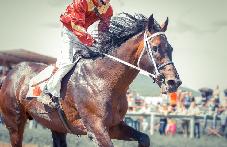Kentucky Derby horse racing with a jockey on top in red.