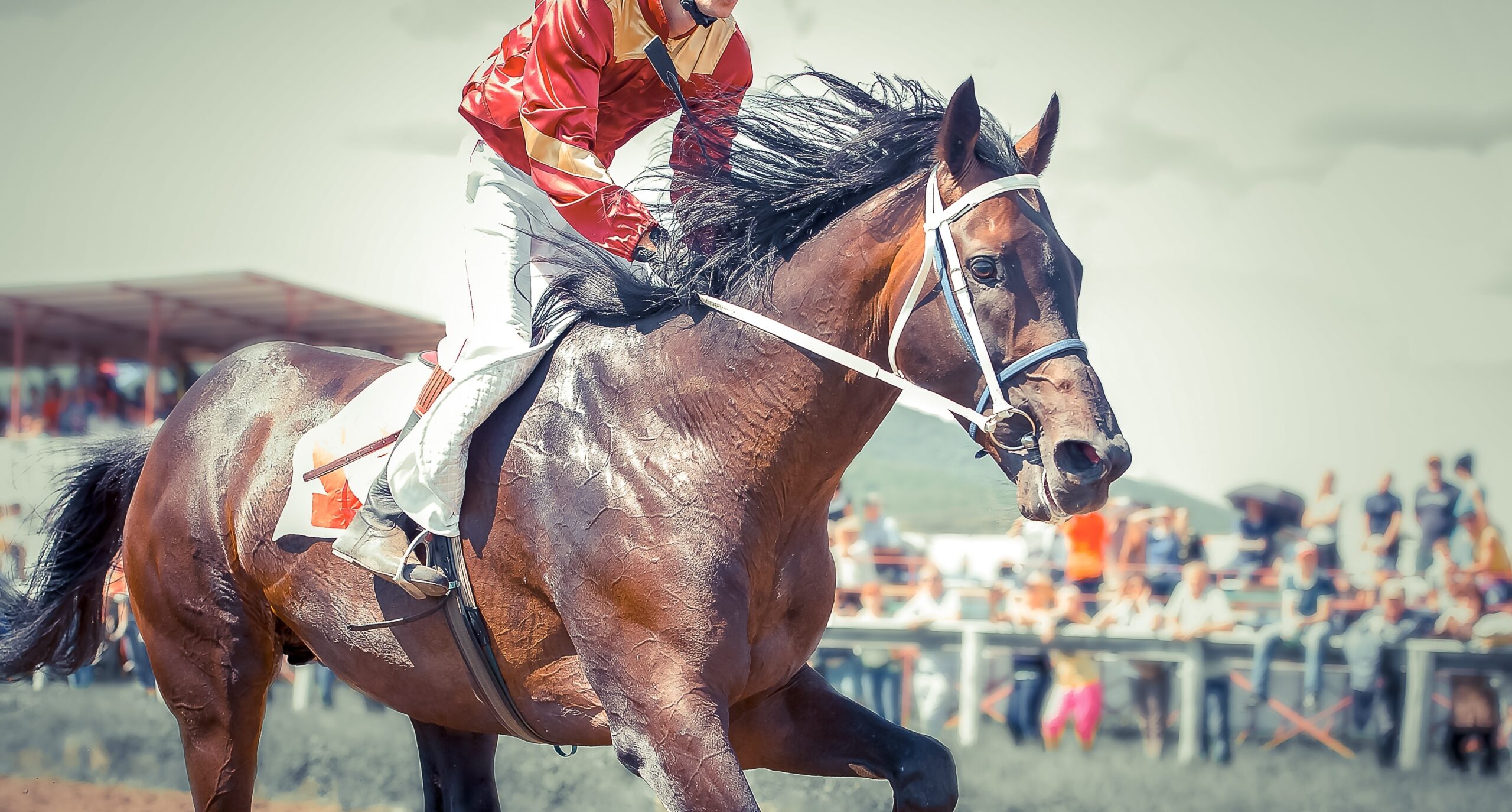 Kentucky Derby horse racing with a jockey on top in red.
