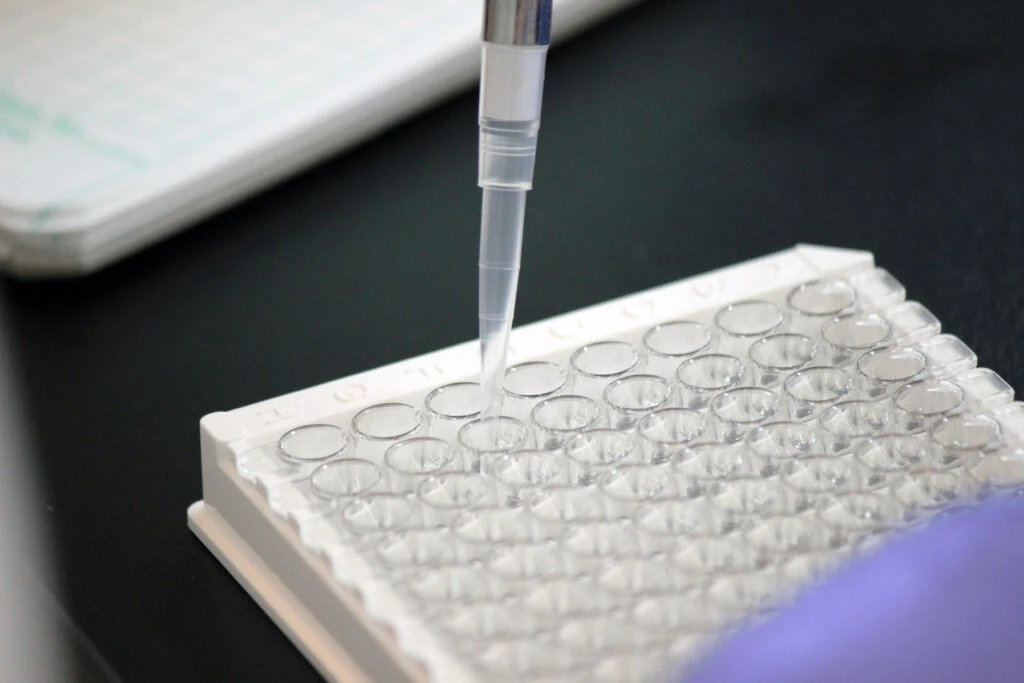 Sample Testing